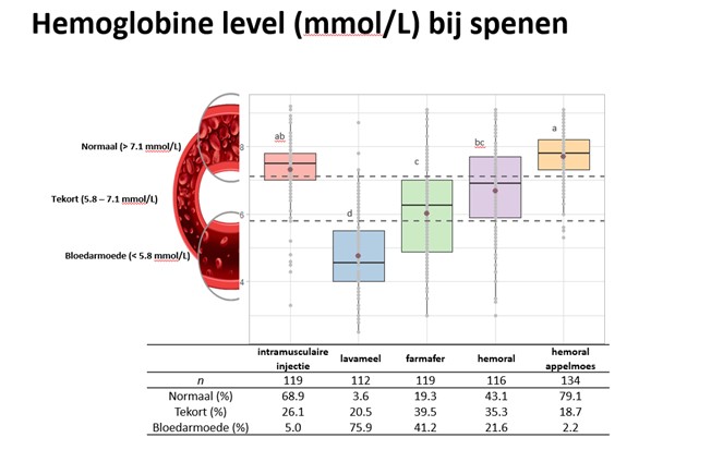 bigijzer hemoglobine