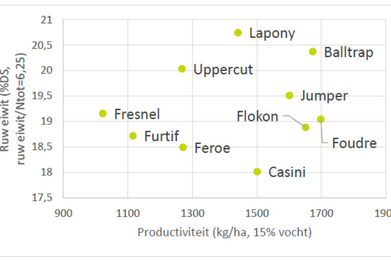 eiwit ifv productiviteit