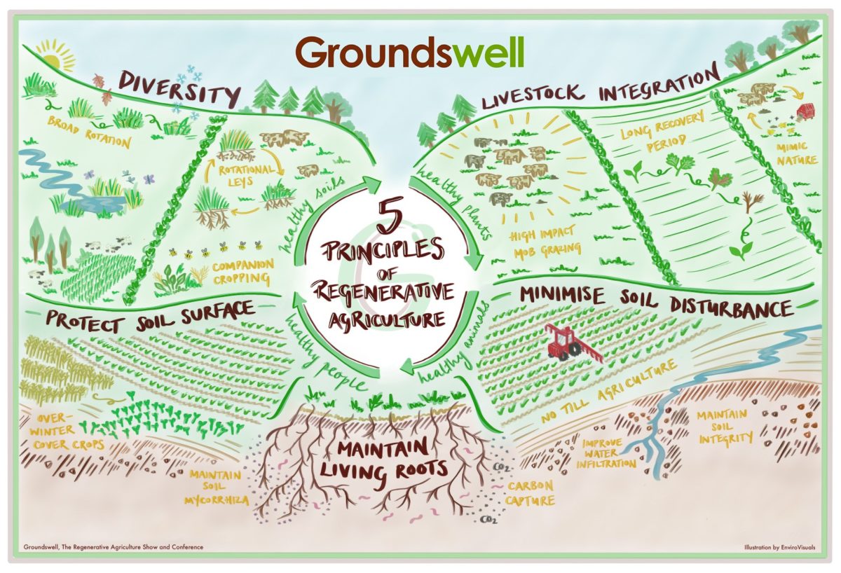 Groundswell principles