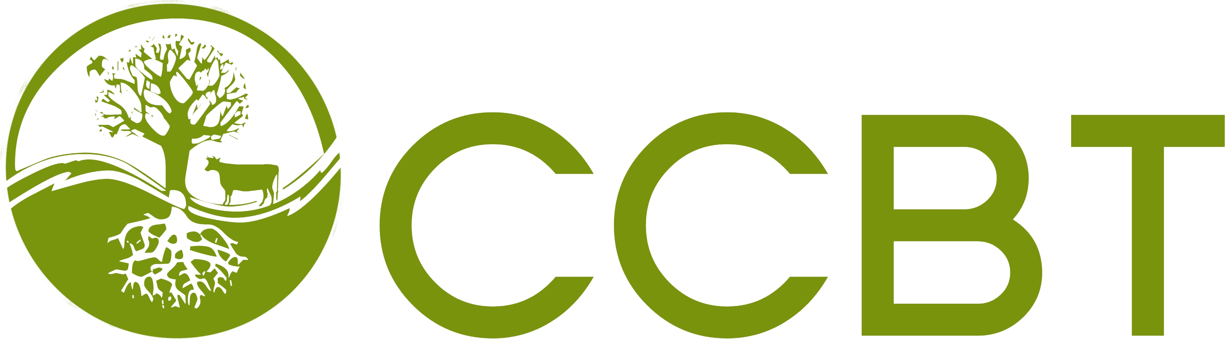 ccbt logo