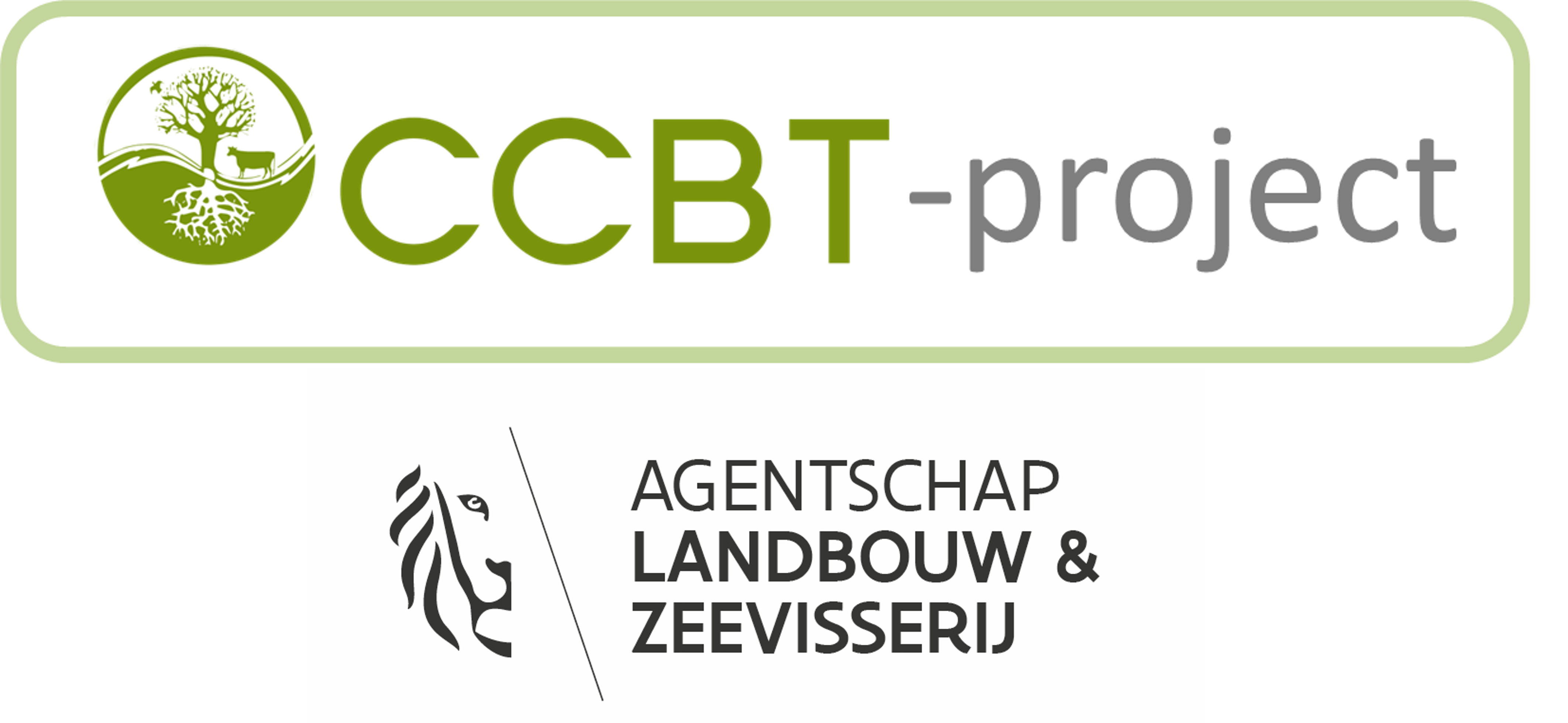 logo ccbt project