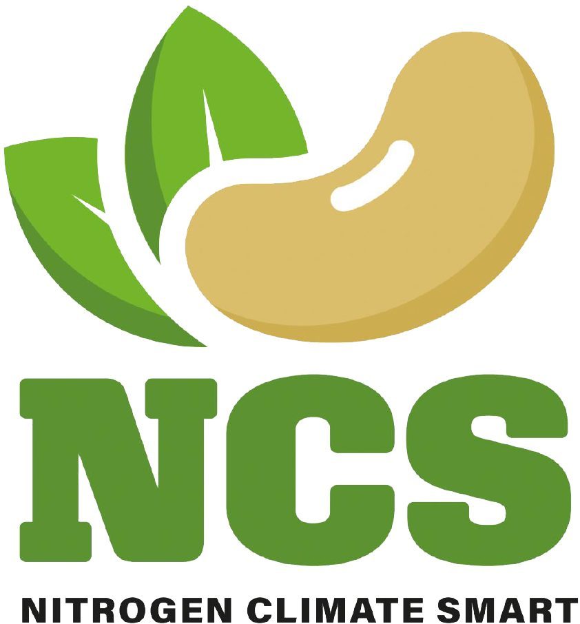 logo ncs