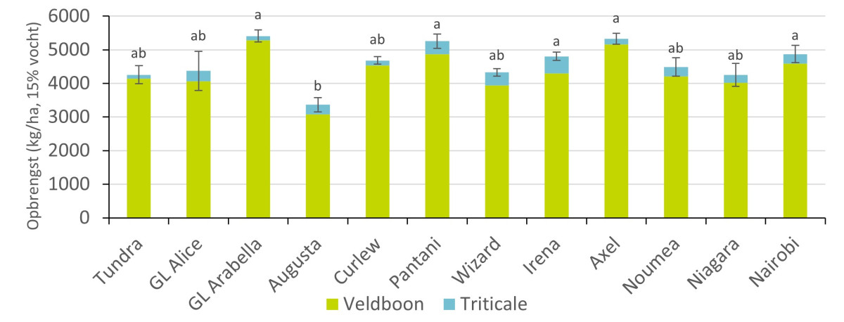 figuur veldboon 3