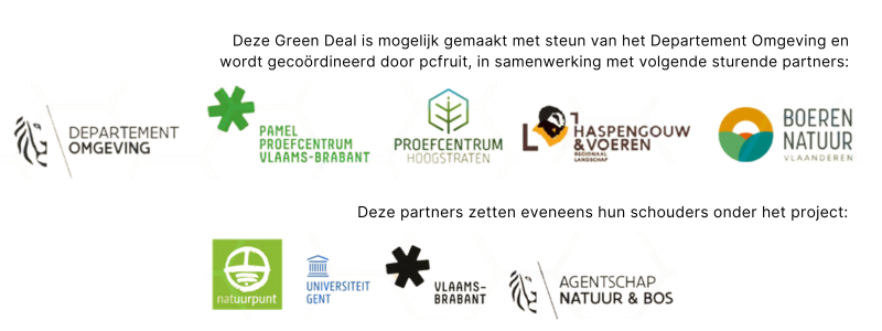 logo's green deal