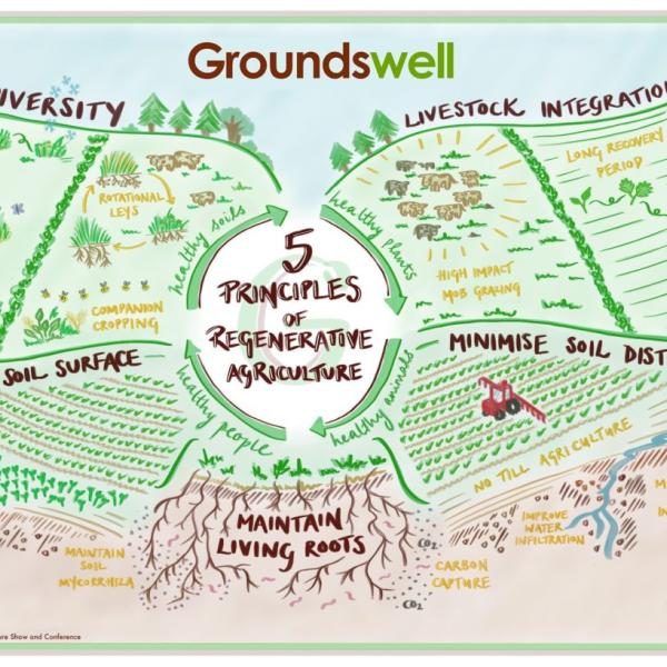 Groundswell 5 principles