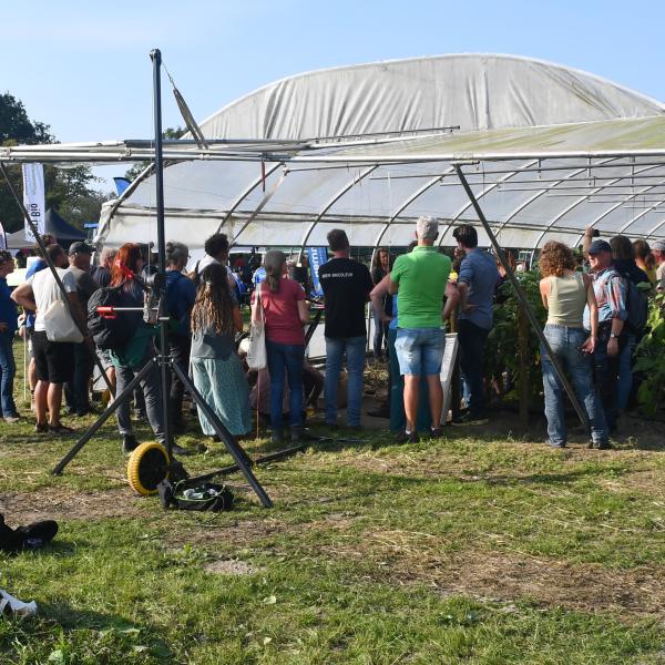 Workshop tunnelteelten